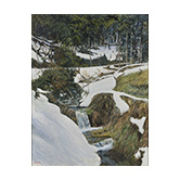 会員賞 前田　浩 渓流・冬